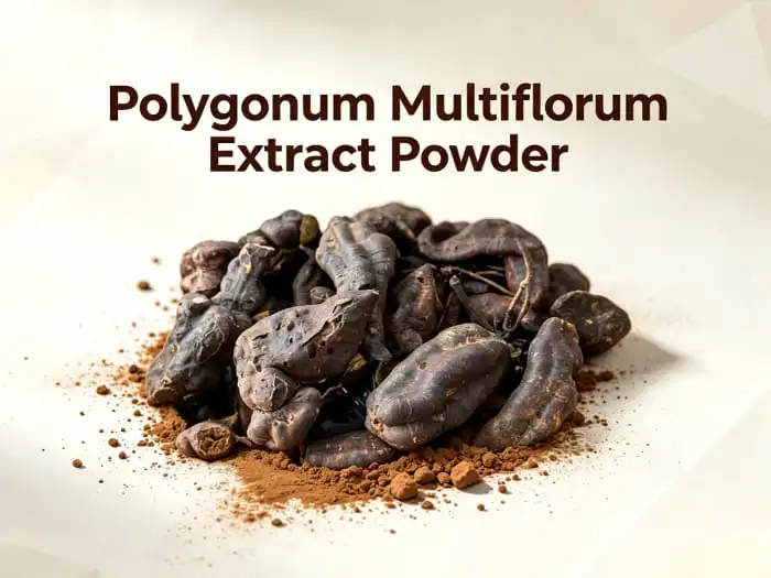 Choosing Standardized Polygonum Multiflorum Extract